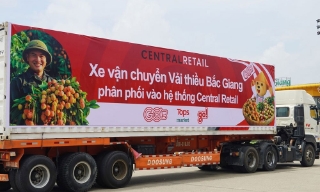 Khoảng 1.000 tấn vải thiều Bắc Giang sẽ được tiêu thụ qua siêu thị của Central Retail
